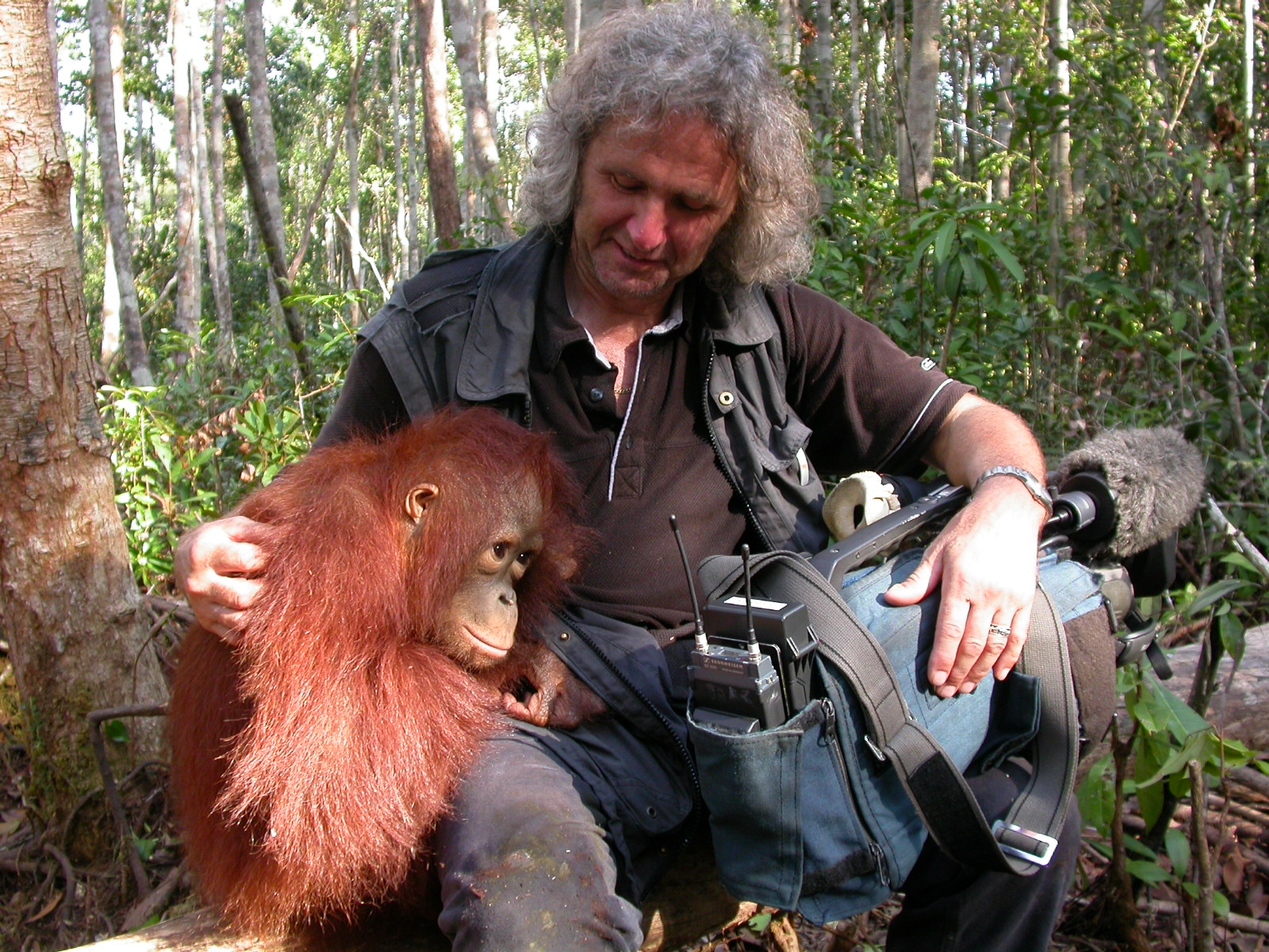 Tonangler mit jungem Orang-Utan auf dem Schoß