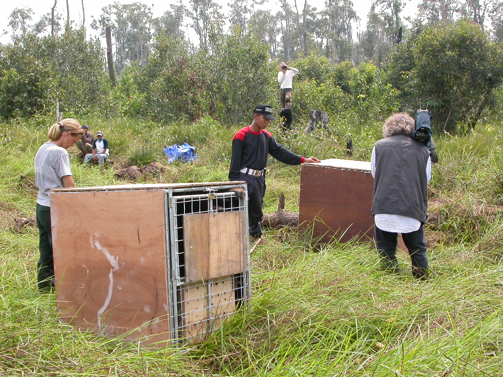 Transportboxen vor der Auswilderung in die Freiheit